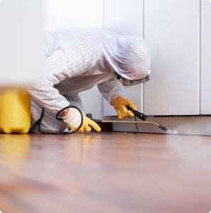 termite treatment in Sydney