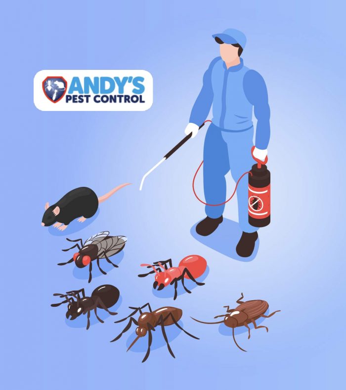 Sydney Pest Control Services Local Pest Control Company