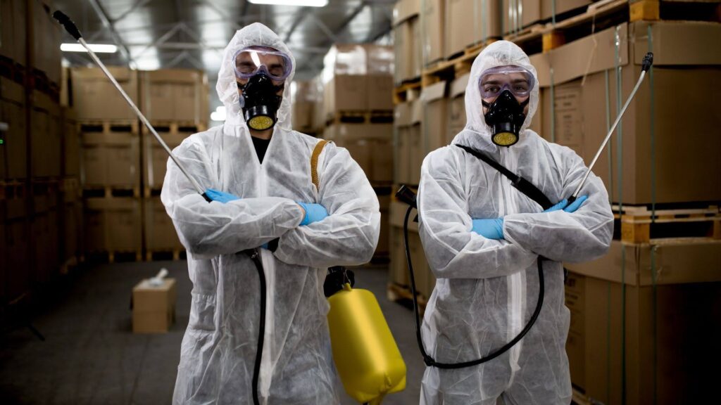 How Do You Check If a Termite Specialist Is Licensed in NSW?