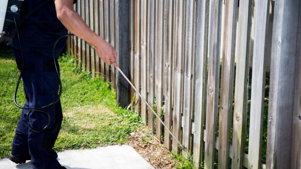 Termite Protection Lifespan Compared: Which Methods Last 5, 8 or 50+ Years?